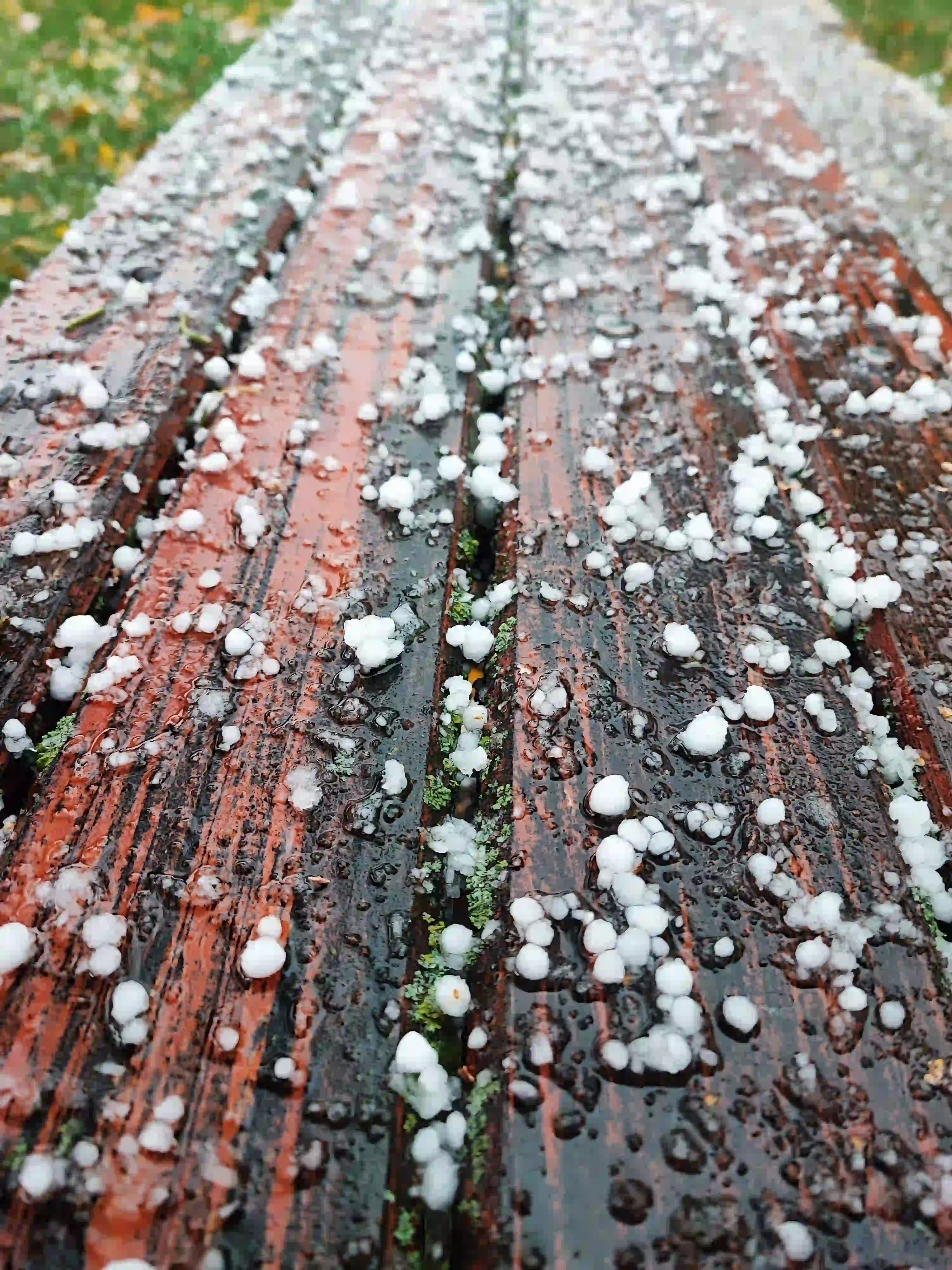 Piedras de granizo sobre una superficie mojada después de una tormenta de primavera